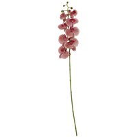 Orsina Pink Orchid Spray - 100cm, Graceful Faux Orchid Stem With Delicate Pink Blooms, Adds Height & Elegance