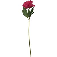 Premier Housewares Fiori Artificial flowers Peony Stem Flower - 65cm in Pink