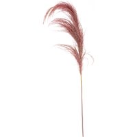 Orsina Fiori Pink Stem Pampas Grass, Natural Charm