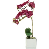 Orsina Fiori Aubergine Orchid Plant, Vivid Purple Orchid Blooms in Silver
