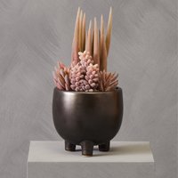Orsina Fiori Mixed Succulents In Ceramic Pot in Grey