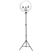 Rio Professional Makeup & Vlogging 18-inch (45cm) Dimmable LED Ring Light in Black