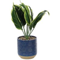Primrose Artificial Calathea in Blue Pot 29cm