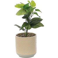 Primrose Artificial Mosaic in Cream Pot 28cm