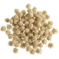 & POM POMS 1 4IN PK100 Pom Poms 0.7cm Metallic Gold Pack 100 Trimits