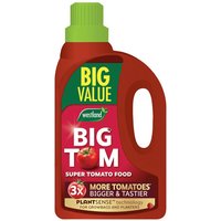 Big Tom Tomato Plant 62 Feeds w Extra Strength Nutrient