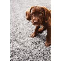 Buddy Rug cm x 100 cm