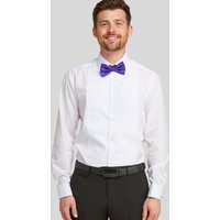 Marcella Bib Front Dress Shirt inches