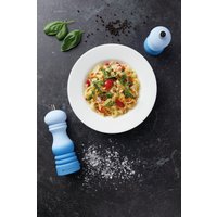 Salt or Pepper Mill