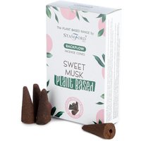 Plant Based Backflow Incense Cones Sweet Musk
