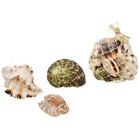 Kandy Toys 500g Shells In Net Bag