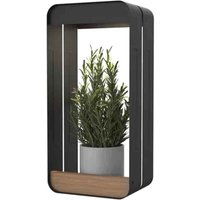 VFM e-Store Solar Wall Light & Planter Warm White Decorations