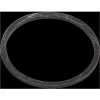 RW1 1.25" Trap Inlet Washer