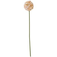 Love Lace White & Apricot Allium Artificial Flower