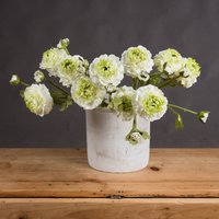 Love Lace Green Ranunculus Spray Artificial Flower