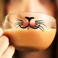 Filter Cup cm