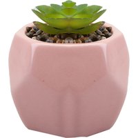 VFM e-Store Artificial Plant Indoor Potted Pot Plastic Small Succulents 12. 1cm in Pink