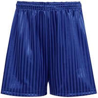 David Luke Sports Shorts in Royal | Size: 34-36