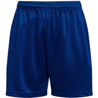David Luke Men's Sports Shorts in Royal | Size: 18-20