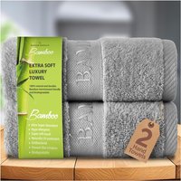 GAVENO CAVAILIA 2 Pack Bamboo Towel in Silver