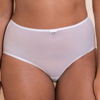 Victory Short Brief Sheer Knickers