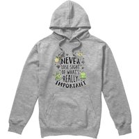 Princess & Frog Never Lose Sight Hoodie Light Grey