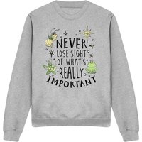 Princess & Frog Never Lose Sight Sweatshirt Light Grey