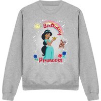 Aladdin Birthday Princess With Jasmine & Abu Sweatshirt Light Grey | Size: XL