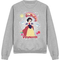 Birthday Princess & Friends Sweatshirt Light Grey