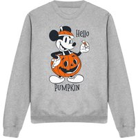 Hello Pumpkin Sweatshirt Light Grey