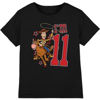 Birthday Woody IM 11 T Shirt
