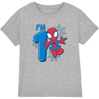 Spider Man Cute Spidey Birthday 1 Kids T-Shirt Light Grey | Size: 5-6 Years