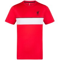 Poly T Shirt Light