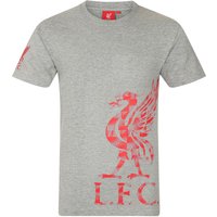 Graphic T Shirt