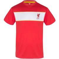 Poly T Shirt Light