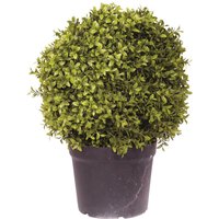 Bloom Artificial Large Boxwood Ball Topiary in Nursery Pot - Faux Fake Realistic Green Plant - Measures H50cm x 40cm Diameter | Size: 50 cm x 40 cm