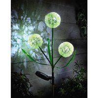 Solar Allium Bloom Stake Light Solar Powered Outdoor Garden Decor Flower Design Pathway Patio Lighting 75 x 9cm Pack
