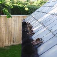 Gutter Brush Flexible Guttering Leaf & Debris Guard Clear Unblocked Gutters Measures 4m x 11.5cm x 11.5 cm