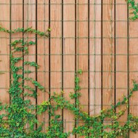 Garden Netting Outdoor Polypropylene Trellis Mesh Net Support Climbing Plants Tall Flowers Vegetables Fruits 1.7 x 4M