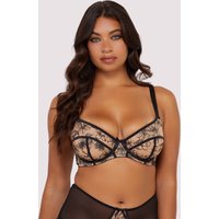 Playful Promises Women's Olivia Contrast Embroidery Balconette Bra in Black | Size: 36DD