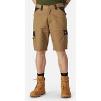 Everyday Short 36R