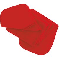 Result Men's Active Anti-Pilling Fleece Winter Scarf With Zip Pocket in Red