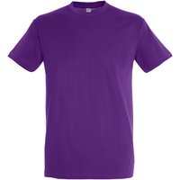 Regent Short Sleeve T Shirt Pale