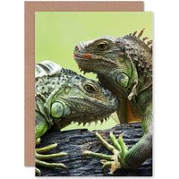 Artery8 Iguana Lizard Reptile Animal Closeup Greetings Card in Green