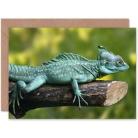 Plumed Basilisk Lizard Reptile Animal Photograph Nature Card
