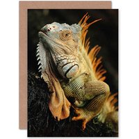Iguana Lizard Reptile Animal Portrait Photograph Nature Card