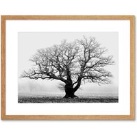 Artery8 Black & White Nature Photograph of an Old Branchy Tree in a Misty Morning Landscape Framed Wall Art Print Picture 12X16 inch in Light Oak