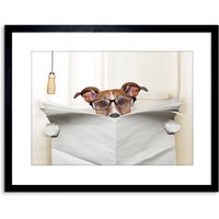 Wall Art Print Photo Mock Jack Russell Toilet Reading Newspaper Artwork Framed 9X7 Inch W7" x H9"