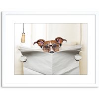 Artery8 Wall Art Print Photo Mock Jack Russell Toilet Reading Newspaper Artwork Framed 9X7 Inch in White | Size: W7" x H9"
