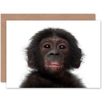 Cute Bonobo Chimp Chimpanzee Animal Photograph Card
